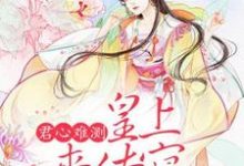 君心难测：皇上来侍寝小说的无弹窗阅读体验，寻找免费阅读网站-瑞奇文学