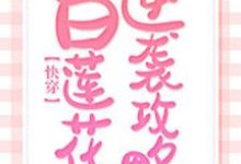 小说《快穿：白莲花逆袭攻略》章节免费阅读-瑞奇文学