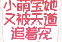 盼盼小说《福气加身：小萌宝她又被天道追着宠》在线阅读-瑞奇文学