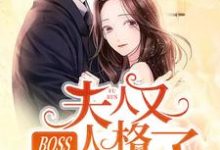 BOSS，夫人又人格分裂了免费阅读，BOSS，夫人又人格分裂了安凝夜盛霆远-瑞奇文学