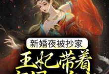 求新婚夜被抄家，王妃带着空间入皇宫小说免费资源-瑞奇文学