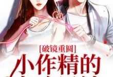 完结版《破镜重圆：小作精的高冷男神》章节阅读-瑞奇文学