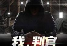 完结版《我，判官，军统界第一人》章节阅读-瑞奇文学