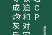 小说《穿成炮灰后被迫和对家组cp》章节免费阅读-瑞奇文学