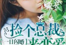 寻找能够免费阅读一日闪婚：捡个总裁来恋爱小说的平台-瑞奇文学