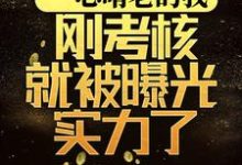 《一心啃老的我，刚考核就被曝光实力了》全集免费在线阅读（林辉）-瑞奇文学