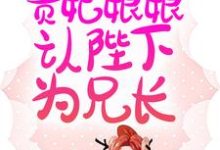 完结版《新婚夜，贵妃娘娘认陛下为兄长》章节阅读-瑞奇文学