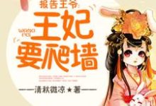 小说《报告王爷，王妃要爬墙》章节免费阅读-瑞奇文学