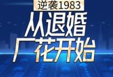 逆袭1983，从退婚厂花开始免费阅读，逆袭1983，从退婚厂花开始章节在线阅读-瑞奇文学