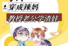 完结版《救命！穿成辣妈，教授老公学渣娃》章节目录在线阅读-瑞奇文学