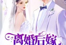 完结版《离婚后嫁腹黑总裁，前夫悔不当初》章节阅读-瑞奇文学