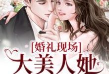 小说《婚礼现场，大美人她喜提绿帽》章节免费阅读-瑞奇文学