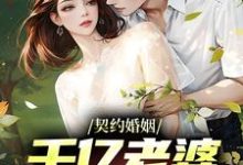 完结版《契约婚姻：千亿老婆太撩人》章节阅读-瑞奇文学