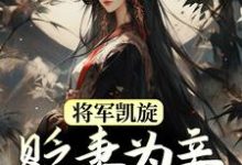 已完结小说《将军凯旋，贬妻为妾迎娶公主》章节免费阅读-瑞奇文学