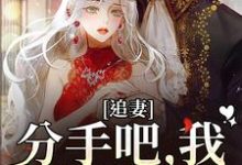 完结版《追妻：分手吧，我不哄你了》章节阅读-瑞奇文学