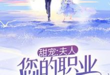 完结版《甜宠：夫人，您的职业操守呢！》在线免费阅读-瑞奇文学