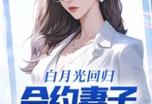哪里能找到白月光回归，合约妻子和我离婚了小说的最新更新和免费章节？-瑞奇文学