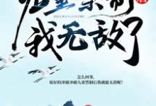 已完结小说《冲破九重禁制后我无敌了》章节免费阅读-瑞奇文学