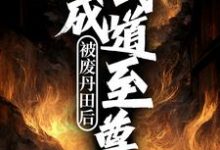 《被废丹田后，我成武道至尊》小说章节在线试读，《被废丹田后，我成武道至尊》最新章节目录-瑞奇文学