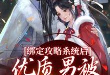 完结版《绑定攻略系统后，优质男被她迷晕了》在线免费阅读-瑞奇文学