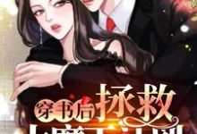 完结版《穿书后拯救大魔王计划》章节阅读-瑞奇文学