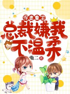 悍妻重生：总裁嫌我不温柔小说，悍妻重生：总裁嫌我不温柔在线阅读
