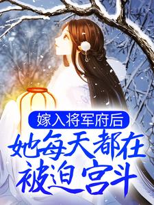 秦执叶云栖小说嫁入将军府后，她每天都在被迫宫斗在线阅读