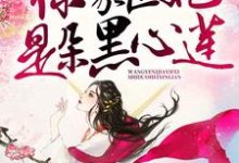 完结版《王爷，你家医妃是朵黑心莲》章节阅读-瑞奇文学