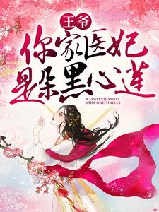 完结版《王爷，你家医妃是朵黑心莲》章节阅读