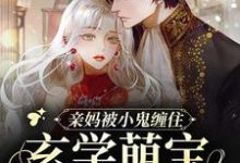亲妈被小鬼缠住，玄学萌宝在线画符小说最新章节在哪里可以读到？-瑞奇文学