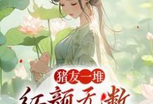 完结版《猪友一堆，红颜无数，这叫年少有为》在线免费阅读-瑞奇文学