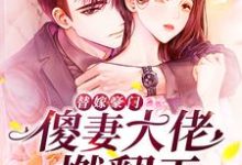 完结版《替嫁豪门：傻妻大佬燃翻天》章节阅读-瑞奇文学