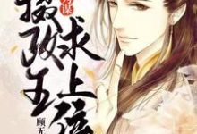求乱世为谋：摄政王求上位小说免费资源-瑞奇文学
