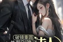 完结版《破镜重圆：总裁别跪了，夫人拒绝原谅》章节阅读-瑞奇文学