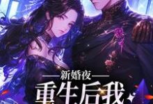 完结版《新婚夜：重生后我扑倒冷面霸总》在线免费阅读-瑞奇文学