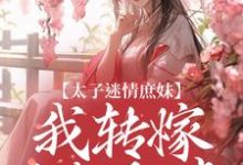 《太子迷情庶妹，我转嫁当朝权贵》小说宋晚意裴恒章节章节免费在线阅读-瑞奇文学