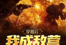 完结版《穿越后我成敌营大反派》章节阅读-瑞奇文学