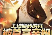 在线免费阅读工地搬砖的我，被首富亲妈找回家完整小说-瑞奇文学
