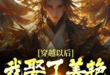 《穿越以后，我娶了美艳宗主当老婆》小说免费阅读完整版-瑞奇文学