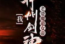 完结版《我，神州剑神，老婆魔道女帝》免费阅读-瑞奇文学