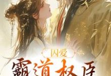 卿言容寂小说《囚爱，霸道权臣诱娇婢女》完整版免费阅读-瑞奇文学