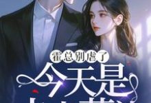 《霍总别虐了，今天是夫人葬礼》全集免费在线阅读（夏星瞳）-瑞奇文学