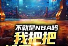 不就是NBA吗，我把把都是MVP林克小说大结局免费试读-瑞奇文学