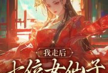 小说完整版《我走后，七位女仙子回首说爱我》免费阅读-瑞奇文学