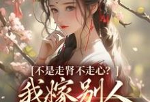 完结版《不是走肾不走心？我嫁别人你哭什么》章节目录在线阅读-瑞奇文学