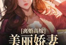 《离婚高嫁：美丽娇妻哪里逃》完整版小说免费阅读-瑞奇文学