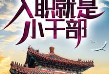 李安业小说四合院：啃老亲舅舅，入职就是小干部完整版阅读-瑞奇文学