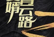 在线免费阅读赘婿青云路完整小说-瑞奇文学