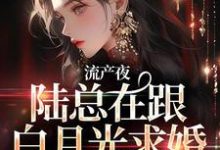 完结版《流产夜，陆总在跟白月光求婚，我不干了》章节目录在线阅读-瑞奇文学