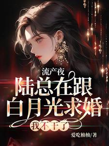 完结版《流产夜，陆总在跟白月光求婚，我不干了》章节目录在线阅读